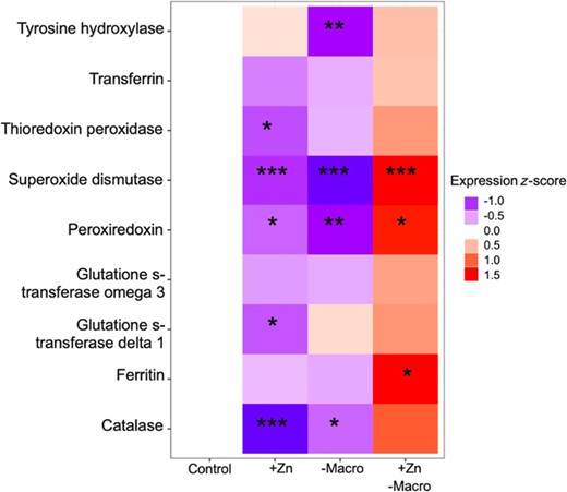 Effects of elevated zinc exposure (+Zn), low macronutrient availability (–Macro), and the combination of the two (+Zn with –Macro) on antioxidant gene expression in fifth instar monarch butterfly larvae (Danaus plexippus). Gene expression estimates were calculated from linear mixed effects models controlling for actin expression (fixed effect) and technical quantitative polymerase chain reaction replicate (random effect). Shaded squares indicate expression levels of nine candidate antioxidant genes relative to the control treatment (high macronutrient availability with control zinc exposure). Red shading indicates gene up‐regulation, and blue shading represents gene down‐regulation. Expression values are displayed as z‐scores to facilitate comparison across candidate genes.