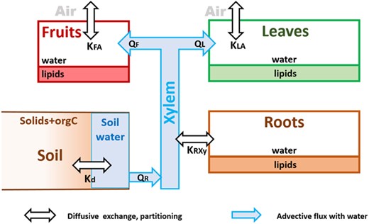 Systems graph of the standard model for plant uptake of neutral compounds, where K describes partition coefficients, Q is advective fluxes, index F is fruits, A is air, L is leaves, and R is roots. Kd is the distribution coefficient between the soil matrix and the soil pore water.