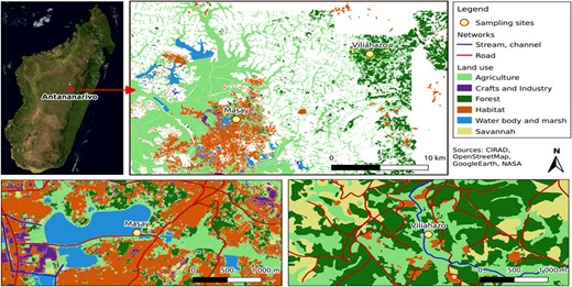 Location of Masay and Viliahazo marshes with respect to the capital city of Antananarivo and land uses in the vicinity. The map showing Masay marsh was modified from Dupuy et al. (2017).