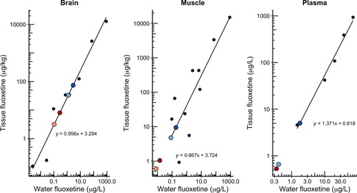Scatter plot estimating the concentration of fluoxetine needed in a waterborne exposure scenario to match the concentrations of fluoxetine measured in tissues in our study. Black circles and regression line show the tissue and waterborne exposure concentrations from published primary research (given below). Larger colored points show concentrations of fluoxetine in tissues after 13 days of exposure in our study (light red, coconut oil low; dark red, coconut oil high; light blue vs. low; dark blue vs. high). See the Supporting Information, Figures S1 and S2, for days 1 and 25. Primary data used were from Schultz et al. (2011), Togunde et al. (2012), Marigotta‐Casaluci et al. (2014), Duarte et al. (2020), and Liu et al. (2021). Also see the Supporting Information.