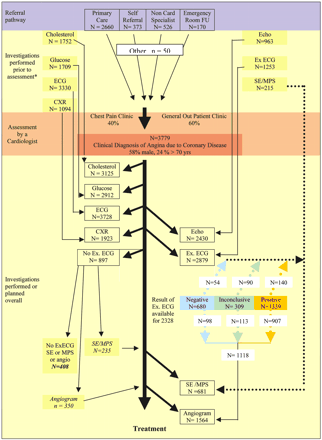 Figure 3 Flow diagram illustrating the referral sources and use of non-invasive and invasive investigations in patients from the EHS of stable angina. Asterisk indicates investigations performed prior to assessment are included in the overall number of tests performed or planned. Non-Card. Specialist, non-cardiological specialist; FU, follow-up; CXR, chest X-ray; Ex ECG, exercise ECG; SE, stress echo; MPS, myocardial perfusion scan; Angio., angiogram.
