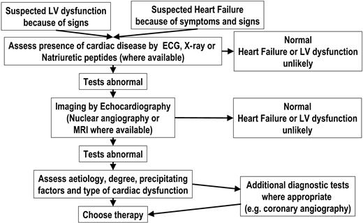 Figure 2 Algorithm for the diagnosis of heart failure or left ventricular dysfunction.