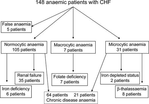 Figure 1 Causes of anaemia in our population of CHF patients.