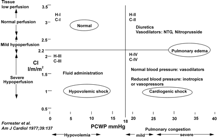 Figure 1 Clinical classification of the mode of heart failure (Forrester classification). H I-IV refers to haemodynamic severity, with reference figures for CI and pulmonary capillary pressures shown on the vertical and horizontal axes, respectively. C I-IV refers to clinical severity.