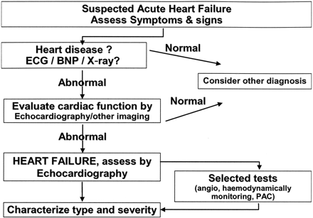 Figure 3 Diagnosis of AHF.