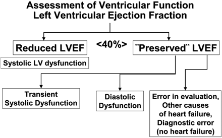Figure 4 Assessment of LV function in AHF.
