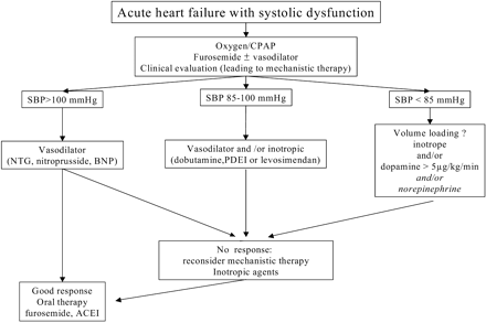 Figure 6 Rationale for inotropic drugs in AHF.