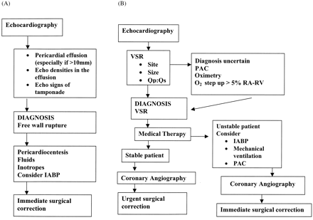 Figure 7 Algorithm: AHF in AMI. IABP=intra-aortic balloon pump; VSR=ventricular septal rupture; PAC=pulmonary artery catheterization; TEE=trans-esophageal echocardiography; EF=ejection fraction; MR=mitral regurgitation; IVS=intraventricular septum; SAM=systolic anterior movement; RA=right atrium; RV=right ventricle; PCI=percutaneous coronary intervention; Qp:Qs=pulmonary circulation volume:systemic circulation volume.