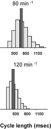 Figure 1 Histogram of pacing cycle lengths used during irregular pacing to simulate atrial fibrillation (plotted in grey) and during regular pacing (plotted in black) at the mean rate of 80 min−1 (A) and of 120 min−1 (B).