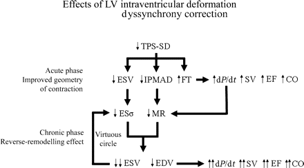 Effects of LV intraventricular deformation dyssynchrony correction. Acutely TPS-SD reduction causes improved geometry of contraction, with decrease of LV-ESV and inter-papillary muscle activation delay (IPMAD) and increase of LV filling time (FT). These effects, in turn, improve systolic function indexes and particularly dP/dt, which also reduces MR. LV-ESV reduction decreases the LV end-systolic stress (ESσ), which chronically favours LV inverse remodelling activating a virtuous circle. This leads to a true anti-remodelling effect. SV, stroke volume; CO, cardiac output.