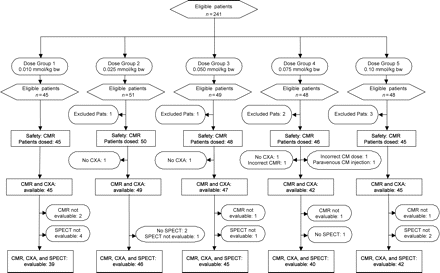 Flow chart demonstrating number of eligible patients and reasons for drop-out per dose group. CM: contrast medium (Gd-DTPA-BMA); CXA: coronary X-ray angiography; Pats: patients