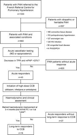 Flow chart of patients with pulmonary arterial hypertension (PAH) and associated conditions referred to the French Referral Centre for Pulmonary hypertension.