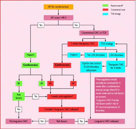 Cardioversion of haemodynamically stable AF, the role of TOE-guided ...