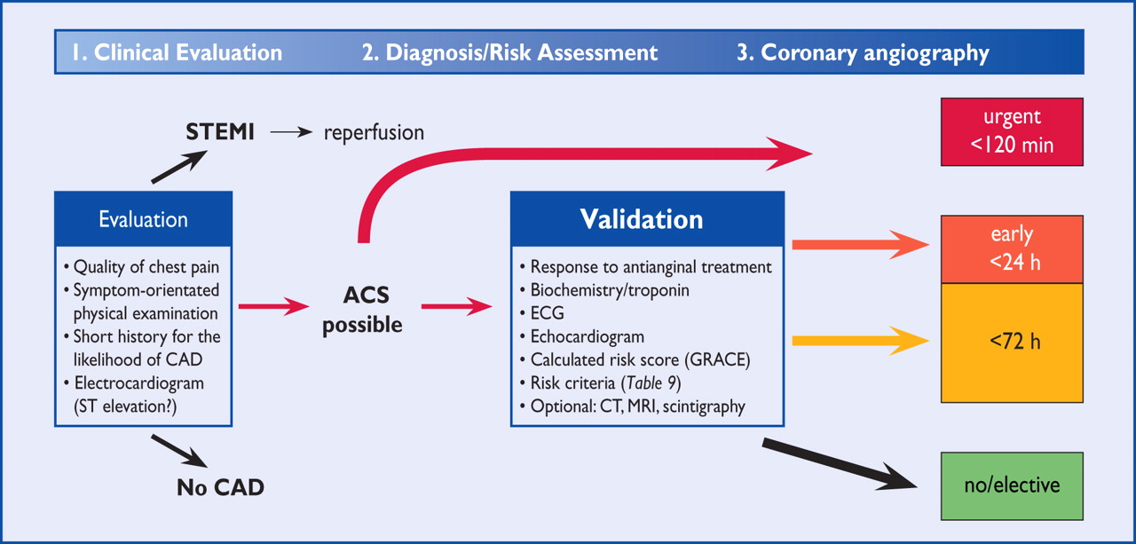 esc guidelines for the management of acute coronary syndromes in