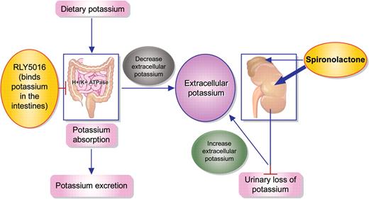 Use of spironolacton increases extracellular potassium levels; RLY5016 binds potassium in the intestines leading to less absorption and thereby lowering extracellular potassium levels.