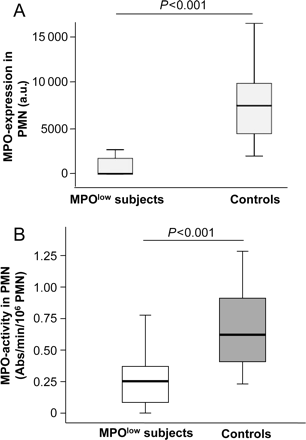 Assessment of myeloperoxidase protein expression and enzyme activity in human neutrophils. (A) Densitometric analysis of myeloperoxidase protein expression of all participants (MPOlow: n = 15; control n = 30). (B) Quantification of peroxidase activity in isolated polymorphonuclear neutrophils from all participants.