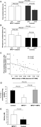 Vascular function in humans with low and normal myeloperoxidase activity in response to nicotine. (A) Flow-mediated and (B) nitroglycerine-mediated dilation before and after nicotine stimulation. Data are displayed for all 15 subjects with diminished myeloperoxidase expression and/or activity (MPOlow) subjects and for the 30 matched controls. (C) Spearman's correlation between flow-mediated dilation following leucocyte activation and MPO activity. Myeloperoxidase-dependent consumption of nitric oxide. (D) Polymorphonuclear neutrophils derived from MPOlow subjects exhibited significantly less nitric oxide consumption when compared with controls. Exogenous addition of MPO (344 pmol/L) to myeloperoxidase-deficient polymorphonuclear neutrophils restored nitric oxide consumption. (E) MPOlow subjects also displayed significantly higher baseline plasma levels of nitrite when compared with controls with baseline nitrite plasma levels being inversely correlated to circulating myeloperoxidase (r = −0.40, P = 0.034). Nicotine treatment did not significantly impact on nitrite plasma levels.