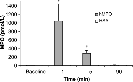 Myeloperoxidase plasma levels following injection of human myeloperoxidase vs. human serum albumin in an open-chest pig model. Injection of human myeloperoxidase resulted in a rapid increase in MPO levels in pig plasma (n= 9, as assessed by ELISA), and decreased thereafter when compared with HSA-treated (n = 6) animals (*P < 0.01 vs. baseline and #P < 0.01 vs. 1 min).