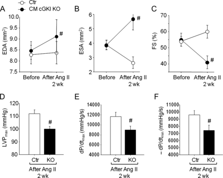 Echocardiography and invasive haemodynamic studies before and after Ang II infusion. (A) LV end-diastolic area (EDA), (B) end-systolic area (ESA), and (C) fractional shortening percentage (FS%) from control mice and mice with cardiomyocyte-restricted deletion of cGMP-dependent protein kinase I before and after 13 days of Ang II infusion, measured by echocardiography. (D) LV systolic pressure, and (E and F) ±dP/dt by invasive haemodynamics after 2 weeks of Ang II infusion (n = 16 per group); #P < 0.05 vs. control.