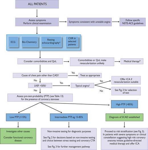 Initial diagnostic management of patients with suspected SCAD. CAD ...