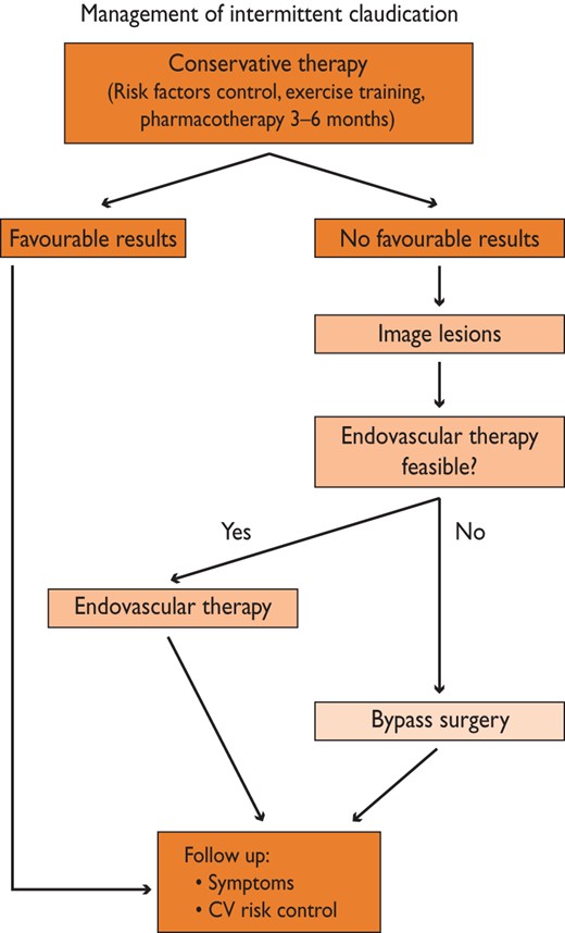 Algorithm for treatment of intermittent claudication (from Tendera et al.475 with permission). CV = cardiovascular.