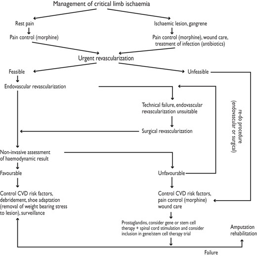 Algorithm for the management of critical limb ischaemia (from Tendera et al.475 with permission). CVD = cardiovascular disease.