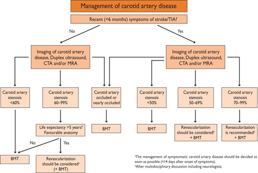 Algorithm for the management of extra cranial carotid artery disease (from Tendera et al.,475 with permission).