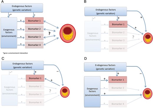 Conceptual background for Mendelian randomization studies: (A) Biomarkers 1–4 are associated with coronary artery disease but causality is unclear. Genetic variants and environmental factors affect the levels of these biomarkers. (B) Here a genetic variant not only associates statistically significant with the biomarker (+), but also with the complex disease. As a DNA variant has no immediate effect on disease manifestation, it can be expected that its effect on the biomarker acts as an indispensible intermediate step. Thus, the biomarker is causally involved in the disease process. (C) Here the genetic variant shows a sizable effect on the biomarker (+) but no association with coronary artery disease. Thus, it can be assumed that an equivalent variability of the biomarker has likewise no effect on disease risk; the biomarker is not causally involved in disease manifestation. (D) In this case exogenous factors influence the biomarker as well as coronary artery disease risk. Even if the genetic variant associates with the biomarker, its causal involvement in coronary artery disease cannot be assumed, since the single nucleotide polymorphism does not associate with coronary artery disease risk.