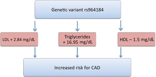 The genetic variant rs964184 gives an example of pleiotropic effects, which could hypothetically explain the increase in coronary artery disease risk. Due to such effects it remains unclear which of the lipoproteins actually explains the association with coronary artery disease risk.