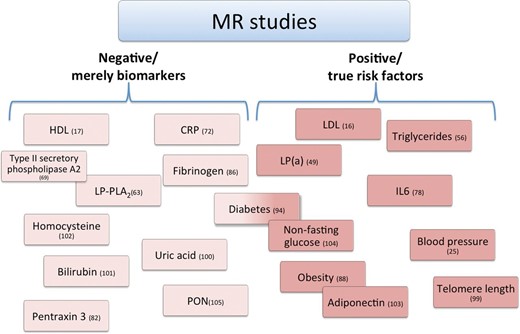Brief overview about candidates tested in Mendelian randomization settings. While many biomarkers suggested a causal role in coronary artery disease in Mendelian randomization studies, others disappointed by negative results. The effect of diabetes mellitus single nucleotide polymorphisms was by far smaller than expected and barely significant. Numbers refer to the references in which the Mendelian randomization data have been reported.100–105