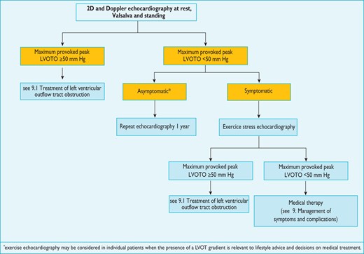 Protocol for the assessment and treatment of left ventricular outflow tract obstruction.