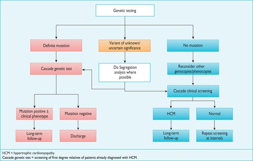 Flow chart for the genetic and clinical screening of probands and relatives.