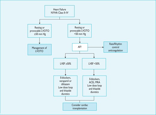 Algorithm for the treatment of heart failure in hypertrophic cardiomyopathy. ACEi = angiotensin converting enzyme inhibitor; AF = atrial fibrillation; LVEF = left ventricular ejection fraction; LVOTO = left ventricular outflow tract obstruction; MRA = mineralocorticoid receptor antagonist; NYHA = New York Heart Association.