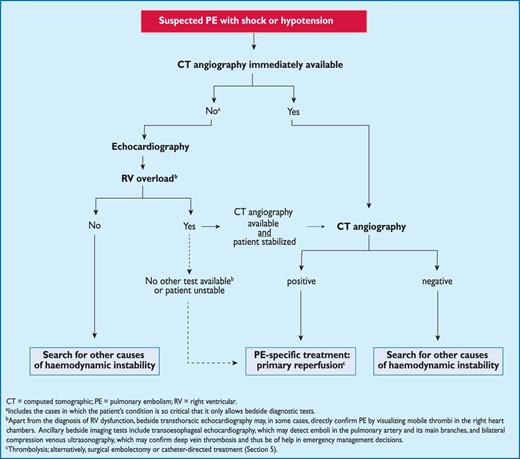 Proposed diagnostic algorithm for patients with suspected high-risk PE, i.e. presenting with shock or hypotension.