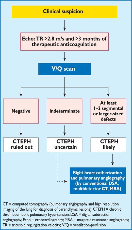 Algorithm for the diagnosis of chronic thromboembolic pulmonary hypertension (adapted from Lang et al. (2010)).397