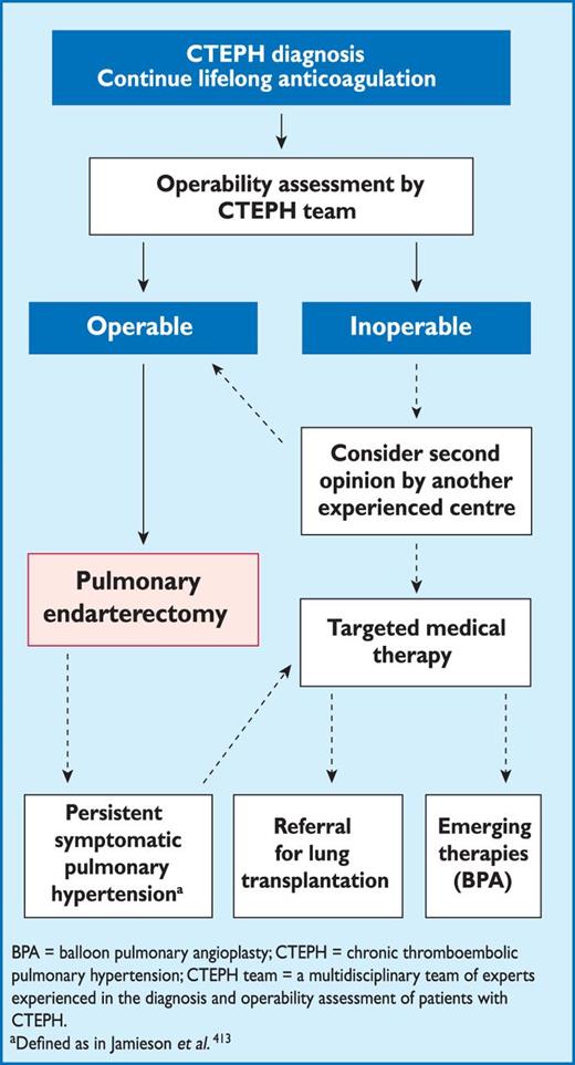 Algorithm for the treatment of chronic thromboembolic pulmonary hypertension (adapted from Ghofrani et al. (2013)).412