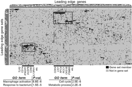 Leading-edge analysis identifies inflammation and cell cycling as novel biological states underlying the monocyte response to acute myocardial infarction. Leading-edge analysis of most significantly enriching gene sets (FDR < 0.01) in mouse monocytes following myocardial infarction reveals metagenes involved in inflammatory and cell cycle processes. Representative genes in these metagenes are listed in Supplementary material online, Table.
