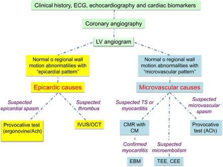 Diagnostic algorithm of myocardial infarction with no obstructive coronary atherosclerosis. First step is represented by clinical history, electrocardiography, cardiac enzymes, echocardiography, coronary angiography, and left ventricular (LV) angiography. Regional wall motion abnormalities with an ‘epicardial pattern’ indicate an epicardial cause of myocardial infarction with no obstructive coronary atherosclerosis: if clinical data suggest coronary artery spasm, intra-coronary acetylcholine (Ach), or ergonovine test should be performed and if there is a clinical doubt of thrombus, intra-vascular ultrasound (IVUS), or optical coherence tomography (OCT) are required. Regional wall motion abnormalities with a ‘microvascular pattern’ indicate a microvascular cause of MINOCA. If clinical data and left ventriculography suggest Takotsubo syndrome (TS) or PVB19 myocarditis, cardiac magnetic resonance (CMR) with contrast medium (CM) is needed. If the latter shows evidence of myocarditis, endomyocardial biopsy (EMB) can be performed to ascertain the aetiology. If clinical data suggest coronary microembolism, TEE, and/or CEE are required to detect a cardiac source of embolism. Finally, if microvascular spasm is suspected, IC Ach test is needed. TEE, transesophageal echocardiography; CEE, contrast-enhanced echocardiography.