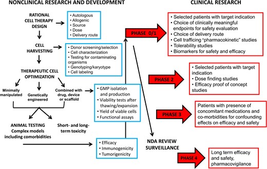 Flowchart of experimental design starting from preclinical studies and ending to the human clinical trials.
