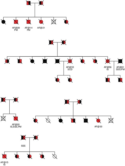 The five pedigrees containing the eight homozygous carriers of c.234delC in MYL4. Homozygous wild-type individuals are coloured black, c.234delC homozygotes are coloured red, heterozygotes who received their c.234delC allele from their father are coloured red/black, and ones who received the c.234delC allele from their mother black/red. Individuals whose genotype could not be inferred are coloured white. Deceased individuals are stricken through with a forward leaning line. Individuals who were genotyped are marked gtd. Under each individual is an indication of whether the individual had been diagnosed with atrial fibrillation and the age at onset after the ‘@’ sign. The presence of other relevant phenotypes is indicated: Sick sinus syndrome (SSS), pacemaker implantation (PM), ischemic stroke (IS) and sudden cardiac death (SCD).