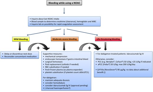 Management of bleeding in patients taking NOACs. Possible therapeutic measures in case of minor or severe bleeding in patients on NOAC therapy. Based on van Ryn et al.34
