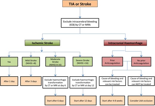 Flowchart for the initiation or re-initiation of anticoagulation after transient ischaemic attack (TIA)/stroke or intracerebral haemorrhage.