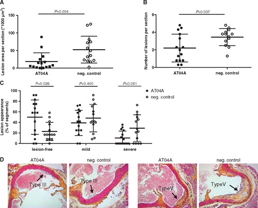AT04A immunization decreases lesion size and severity. After 18 weeks of treatment, lesion area (A), number of lesions (B), and lesion severity (C) were determined per cross-section in the aortic sinus. Due to a technical error one mouse of the control group was excluded from analysis. Lesion severity was classified as mild (type I–III) or severe (type IV–V). Representative images of haematoxylin-phloxine-saffron-stained type III and V lesions in a cross-section (D). A Mann–Whitney U test was used for statistical analysis. Data are presented as group means ± SD (n = 14–15).