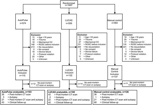 Flowchart displaying randomization, exclusion, and inclusion. CC, chest compression; ROSC, return of spontaneous circulation; CT, computed tomography.