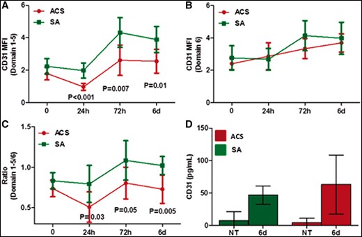 CD31 expression after T-cell receptor stimulation. CD4+ T-cells were activated in vitro with aCD3/aCD28 for T-cell receptor stimulation. Cells were harvested after 24 h, 72 h, and 6 days of stimulation and CD31 domain surface expression was assessed by flow cytometry. (A) Acute coronary syndrome showed a reduced expression of CD31 domain 1–5 on CD4+ T-cells as compared with stable angina. (B) No differences were observed in CD31 domain 6 surface expression on CD4+ T-cells after T-cell receptor stimulation. (C) Accordingly, the ratio between domain 1–5/domain 6 was significantly lower in acute coronary syndrome when compared with stable angina. Cumulative data from eight acute coronary syndrome and eight stable angina patients. Values are fold-increases relative to levels in untreated CD4+ T-cells (95% CI). (D) Soluble CD31 levels in the supernatants of in vitro activated CD4+ T-cells, as assessed by ELISA, were higher (although not significantly) in acute coronary syndrome as compared with stable angina patients after 6 days of T-cell receptor stimulation (five patients for each study group). Green lines and histograms: stable angina; red lines and histograms: acute coronary syndrome. MFI, median fluorescence intensity; NT, untreated.