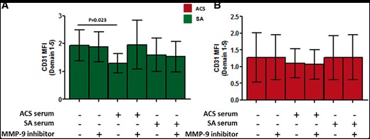 Role of circulating matrix metalloproteinase-9 in CD31 cleavage. CD31 domain 1–5 surface expression on CD4+ T-cells from five stable angina (left panel, green histograms) and from five acute coronary syndrome patients (right panel, red histograms). CD4+ T-cells were incubated for 24 h with serum obtained from acute coronary syndrome or stable angina patients in presence or absence of matrix metalloproteinase-9 inhibitor I. Only CD4+ T-cells from stable angina incubated with acute coronary syndrome serum showed a significant reduction of CD31 domain 1–5. This effect was prevented by the addition of matrix metalloproteinase-9 inhibitor I. Data are presented as mean 95% CI. MFI, median fluorescence intensity.