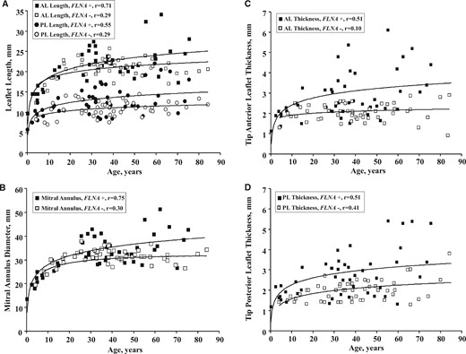 Relation of age to (A) anterior and posterior leaflets length, (B) mitral annulus diameter, and (C and D) leaflets thickness in patients of both genders, with (black squares or circles) or without (white squares or circles) FLNA mutations. Values of all MV parameters increase with age up to 16–20 years old and were eventually quite stable in controls. All parameters have greater values in FLNA-MVD patients at any adult age, with a divergence between the regression slope in FLNA-MVD patients and controls. AL, anterior leaflet; PL, posterior leaflet.
