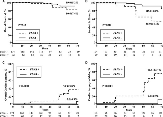 Life-time influence of FLNA-MVD (FLNA+) up to 70 years old on (A) overall survival, (B) survival in male patients, (C) overall cardiac surgery rate, and (D) cardiac surgery rate in male patients. The life-time risk of cardiac surgery depends essentially on the substantial increase in valve surgery in FLNA-MVD males.