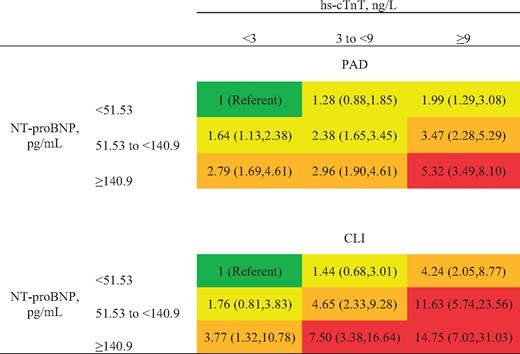 Hazard ratio of peripheral artery disease and critical limb ischaemia by cross-categories of high-sensitivity cardiac troponin T and N-terminal pro-brain natriuretic peptide. Models adjusted for covariates in Model 2 (age, gender, race, education, body mass index, total and high-density lipoprotein cholesterols, systolic blood pressure, antihypertensive drugs, smoking, diabetes, history of stroke/CHD/HF, and estimated glomerular filtration rate). Red indicates hazard ratio >5, orange 2.5–4.9, and yellow 1.25–2.49. CHD/HF: coronary heart disease/heart failure.