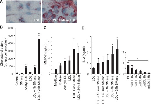 The effect of aggregated low-density lipoprotein (LDL) on macrophages and T-cells. (A) Oil Red O-stained human monocyte-derived macrophages incubated for 20 h with 100 µg/mL of LDL or aggregated LDL (24-h treatment with hrSMase). (B) The amounts of cholesteryl esters in monocyte-derived macrophages incubated in the presence of 100 µg/mL of the variously treated LDL preparations for 20 h. (C) The amount of MMPs secreted from the cells was determined by a Multiplex array. Only secretion of MMP-7 was induced by SMase-treated LDL. (D) Activation of human apoB-100-specific T-cell hybridoma 48-5 measured by IL-2 secretion after 24 h co-culture with antigen presenting cells and 10 µg/mL LDL with increasing amount of sphingomyelinase modification (left panel) or oxidation (right panel). The column graphs show averages ± standard deviations. Statistical differences between the groups were determined using Kruskal–Wallis test followed by post hoc pairwise comparison using Dunn’s test. *P < 0.05 and **P < 0.01.